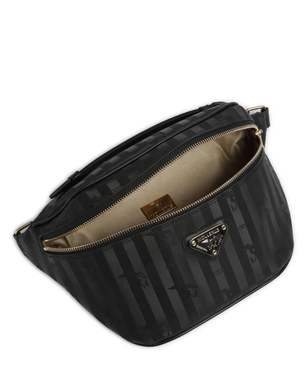 Vinerus Brienz Gürteltasche Canvas schwarz